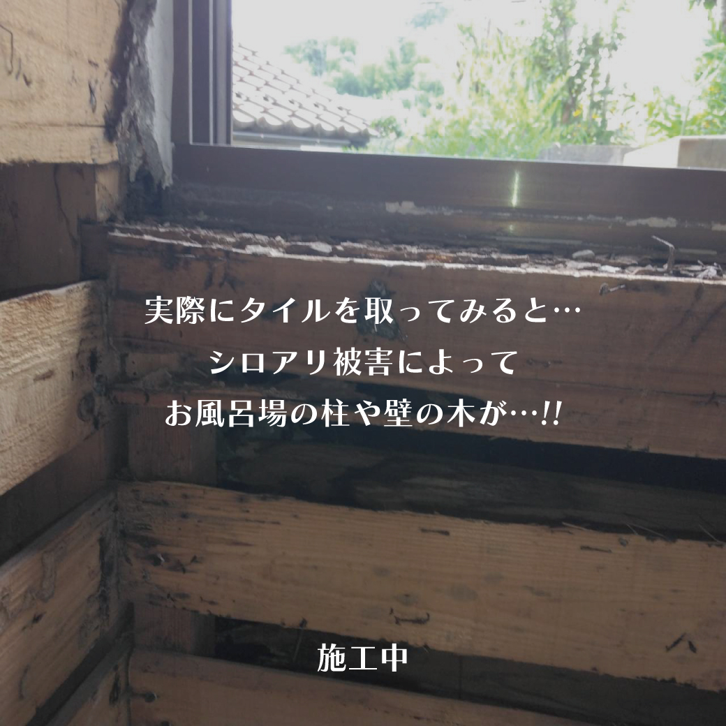 Instagram_シロアリ被害20251108_04