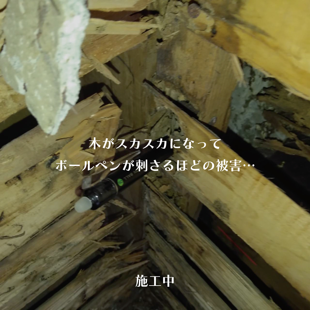 Instagram_シロアリ被害20251108_05