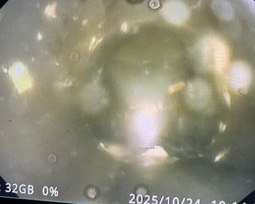 D邸排水管洗浄_2025.10完１