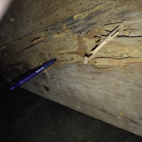 S邸_畳下座板取替_施工途中11