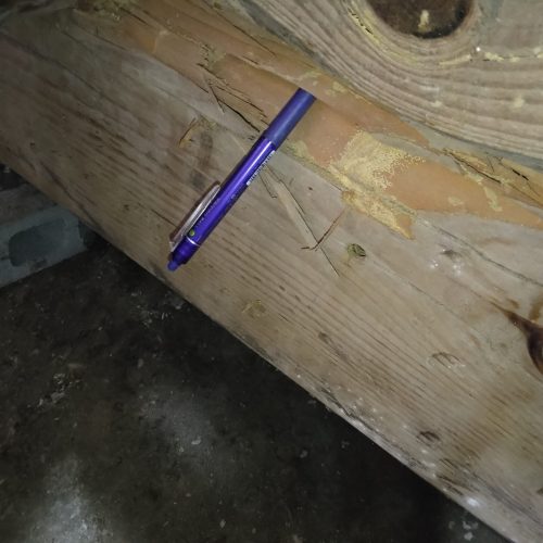 S邸_畳下座板取替_施工途中12