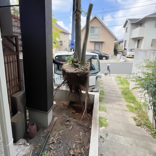 U邸_木伐採_中4