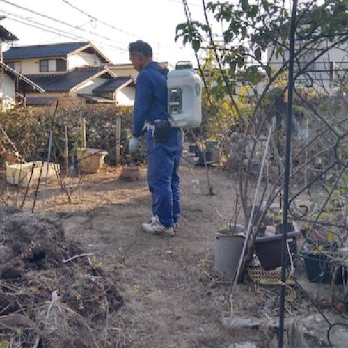 中谷邸庭草刈除草剤散布