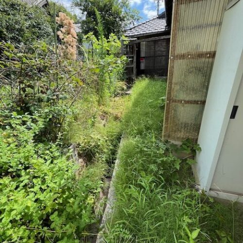 伐採S邸2025.07前１