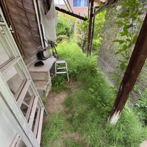 伐採S邸2025.07前２