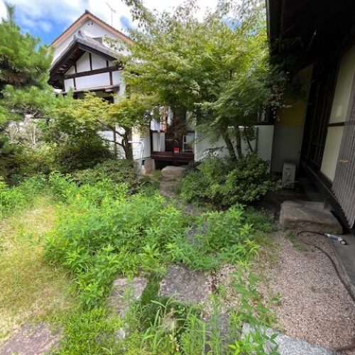 伐採S邸2025.07前３