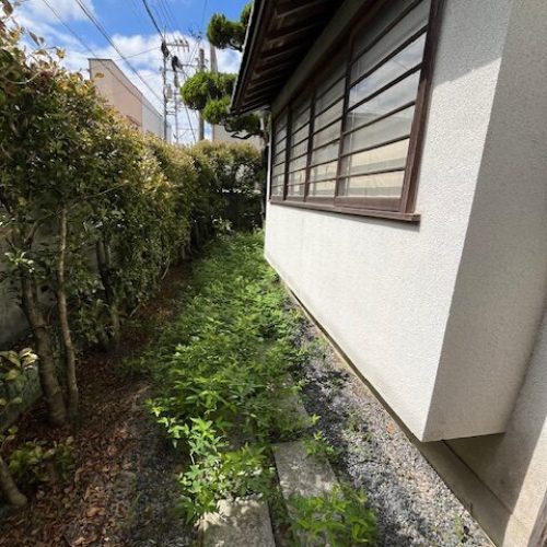 伐採S邸2025.07前５