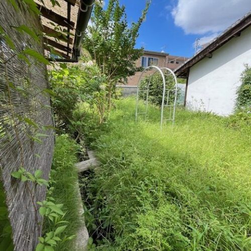 伐採S邸2025.07前６