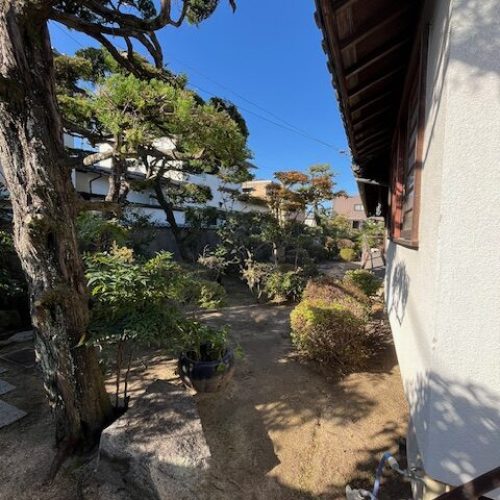 伐採S邸2025.10完４