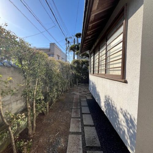 伐採S邸2025.10完５