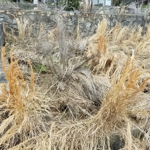 安芸区中野_墓所_施工前01