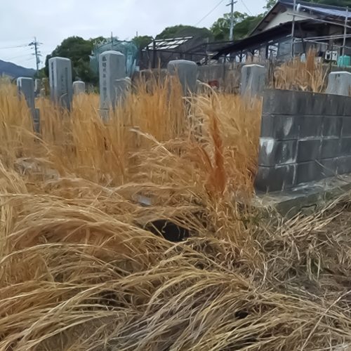 安芸区中野_墓所_施工前03