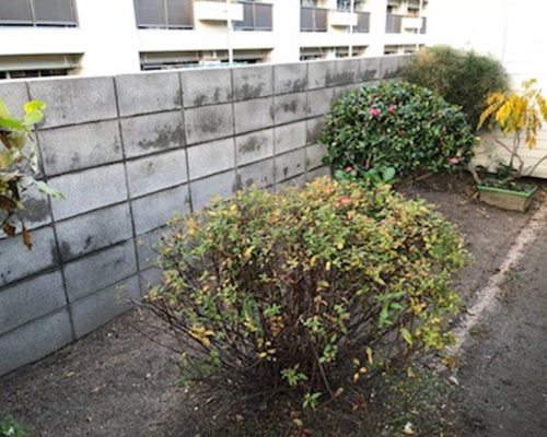 戸坂_ブロック塀撤去事例-(6)