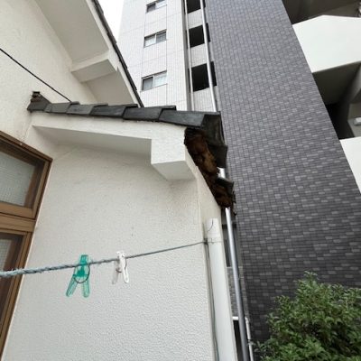 紀伊邸屋根樋前②